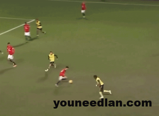 c8666741g00taot8f00zjd000ev00aum